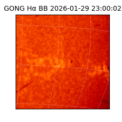 gong - 2026-01-29T23:00:02