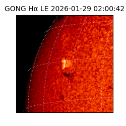 gong - 2026-01-29T02:00:42