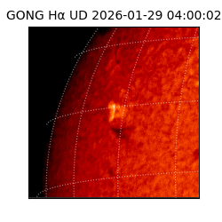 gong - 2026-01-29T04:00:02