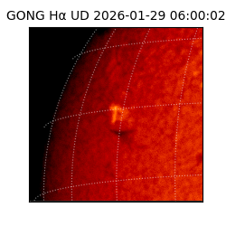 gong - 2026-01-29T06:00:02