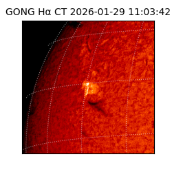 gong - 2026-01-29T11:03:42
