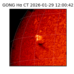 gong - 2026-01-29T12:00:42