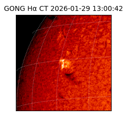 gong - 2026-01-29T13:00:42