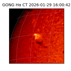 gong - 2026-01-29T16:00:42