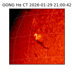 gong - 2026-01-29T21:00:42