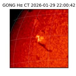 gong - 2026-01-29T22:00:42