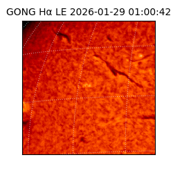 gong - 2026-01-29T01:00:42