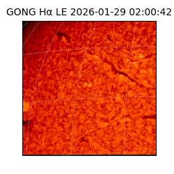 gong - 2026-01-29T02:00:42