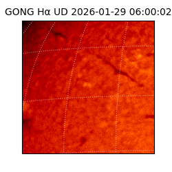 gong - 2026-01-29T06:00:02