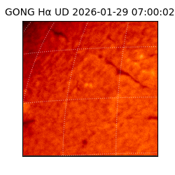 gong - 2026-01-29T07:00:02