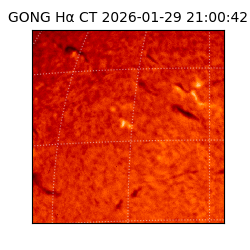 gong - 2026-01-29T21:00:42