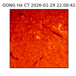 gong - 2026-01-29T22:00:42