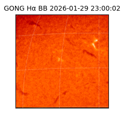 gong - 2026-01-29T23:00:02