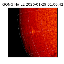 gong - 2026-01-29T01:00:42