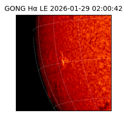 gong - 2026-01-29T02:00:42