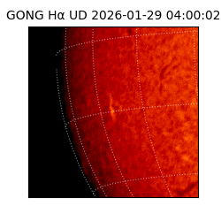 gong - 2026-01-29T04:00:02
