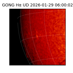 gong - 2026-01-29T06:00:02