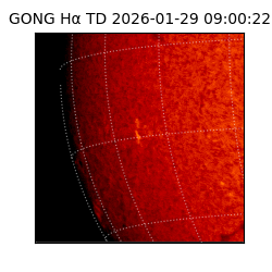 gong - 2026-01-29T09:00:22