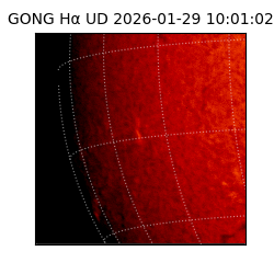 gong - 2026-01-29T10:01:02
