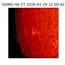 gong - 2026-01-29T12:00:42