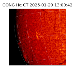 gong - 2026-01-29T13:00:42