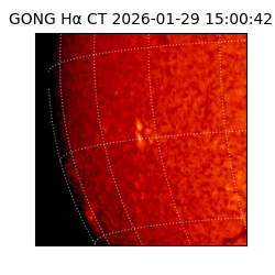 gong - 2026-01-29T15:00:42