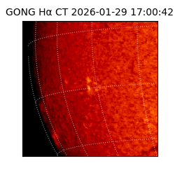 gong - 2026-01-29T17:00:42