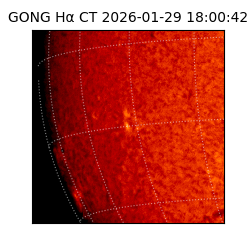 gong - 2026-01-29T18:00:42