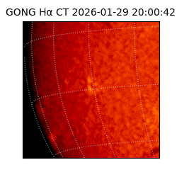 gong - 2026-01-29T20:00:42