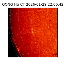 gong - 2026-01-29T22:00:42