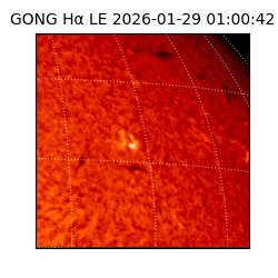 gong - 2026-01-29T01:00:42