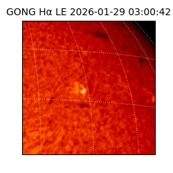 gong - 2026-01-29T03:00:42