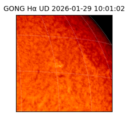 gong - 2026-01-29T10:01:02