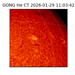 gong - 2026-01-29T11:03:42