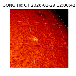 gong - 2026-01-29T12:00:42