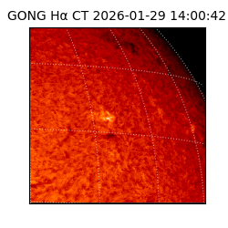 gong - 2026-01-29T14:00:42