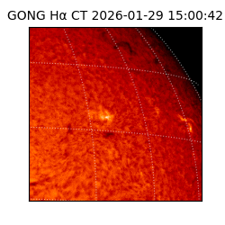 gong - 2026-01-29T15:00:42