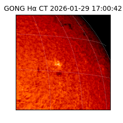 gong - 2026-01-29T17:00:42