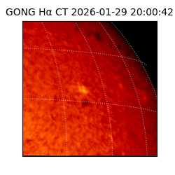 gong - 2026-01-29T20:00:42
