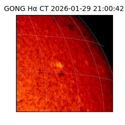 gong - 2026-01-29T21:00:42