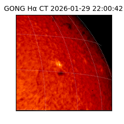 gong - 2026-01-29T22:00:42
