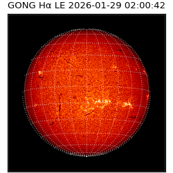 gong - 2026-01-29T02:00:42