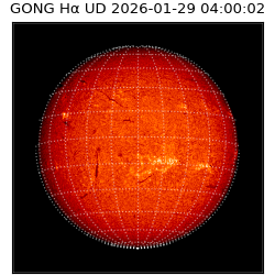 gong - 2026-01-29T04:00:02