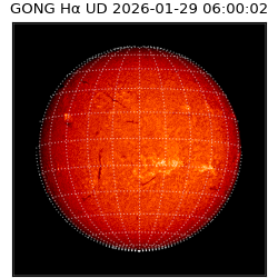 gong - 2026-01-29T06:00:02