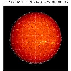 gong - 2026-01-29T08:00:02