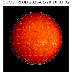 gong - 2026-01-29T10:01:02