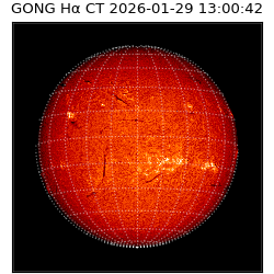 gong - 2026-01-29T13:00:42