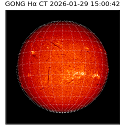 gong - 2026-01-29T15:00:42