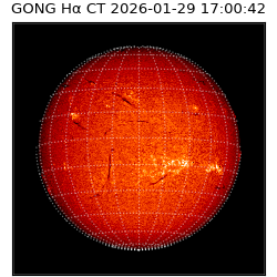 gong - 2026-01-29T17:00:42