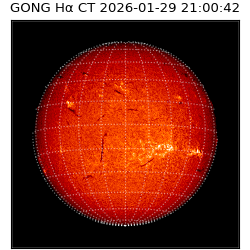 gong - 2026-01-29T21:00:42